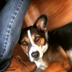 Meet your Posher, Breanna